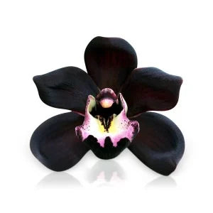 WAXMELTS | BLACK ORCHID (PER 5 STUKS) - Wasparfum Liefde - Dé wasparfum shop van Nederland & België